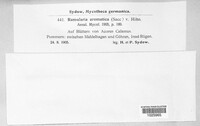 Image Associated With the Occurence